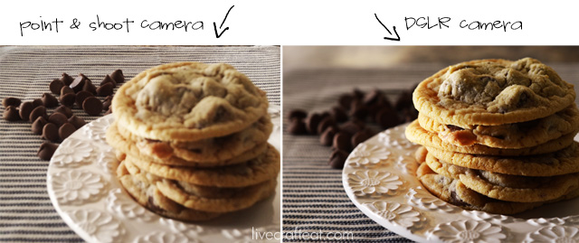 Point and shoot vs. DSLR from Katie at LiveCraftEat